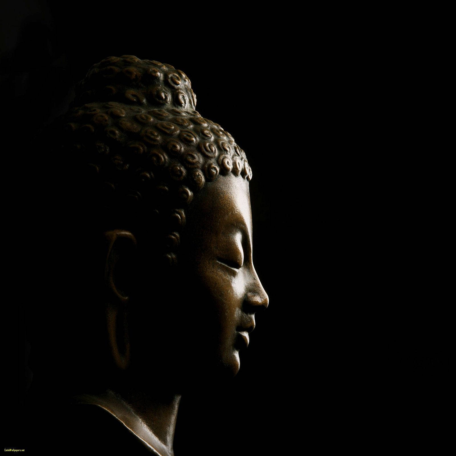 Image Side View Of Large Buddha Statue Wallpaper