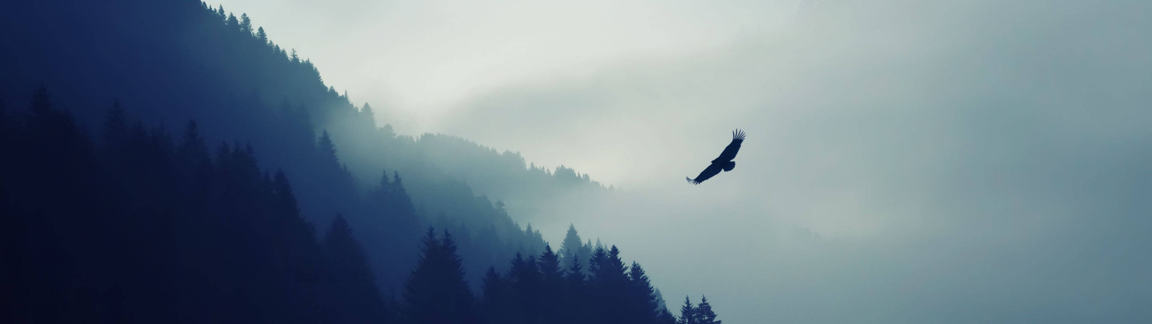 Image View Of Majestic Eagle Soaring Over Mountainside. Wallpaper