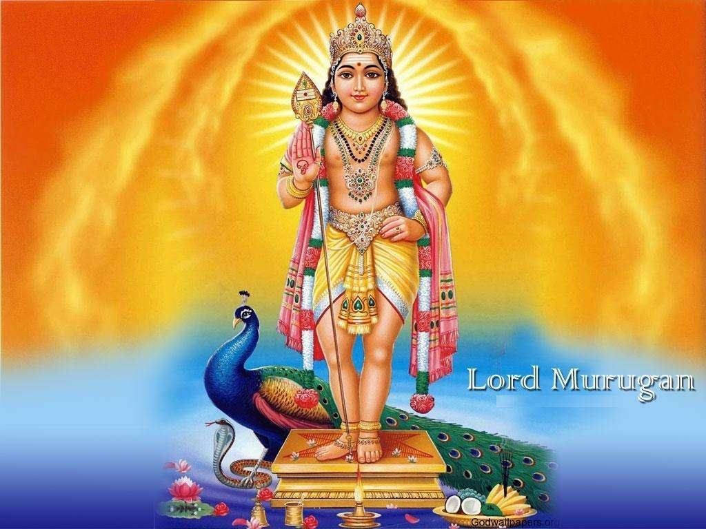 Indian God Murugan Wallpaper