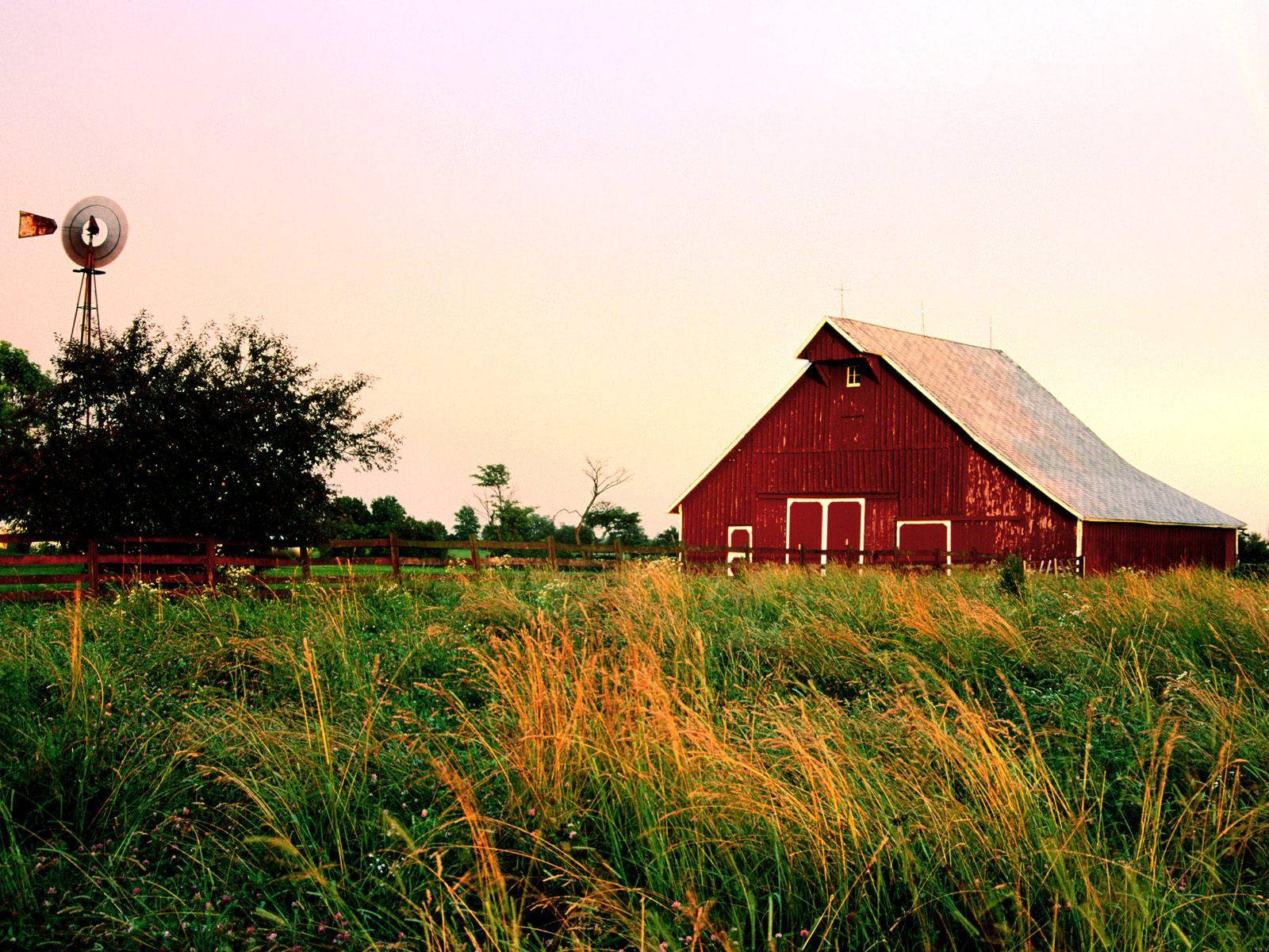 Indiana Red Barn Wallpaper