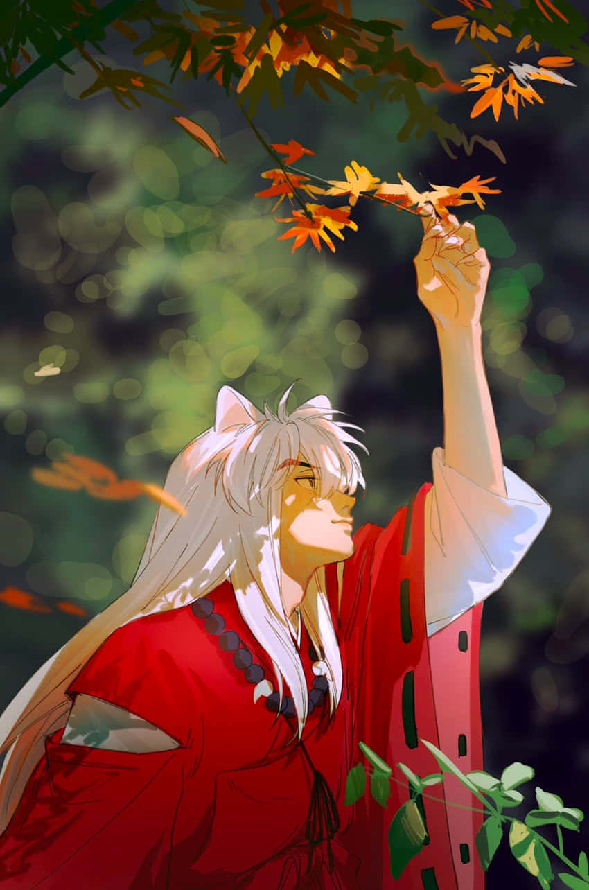 Inuyasha Picking Leaves Phone Wallpaper