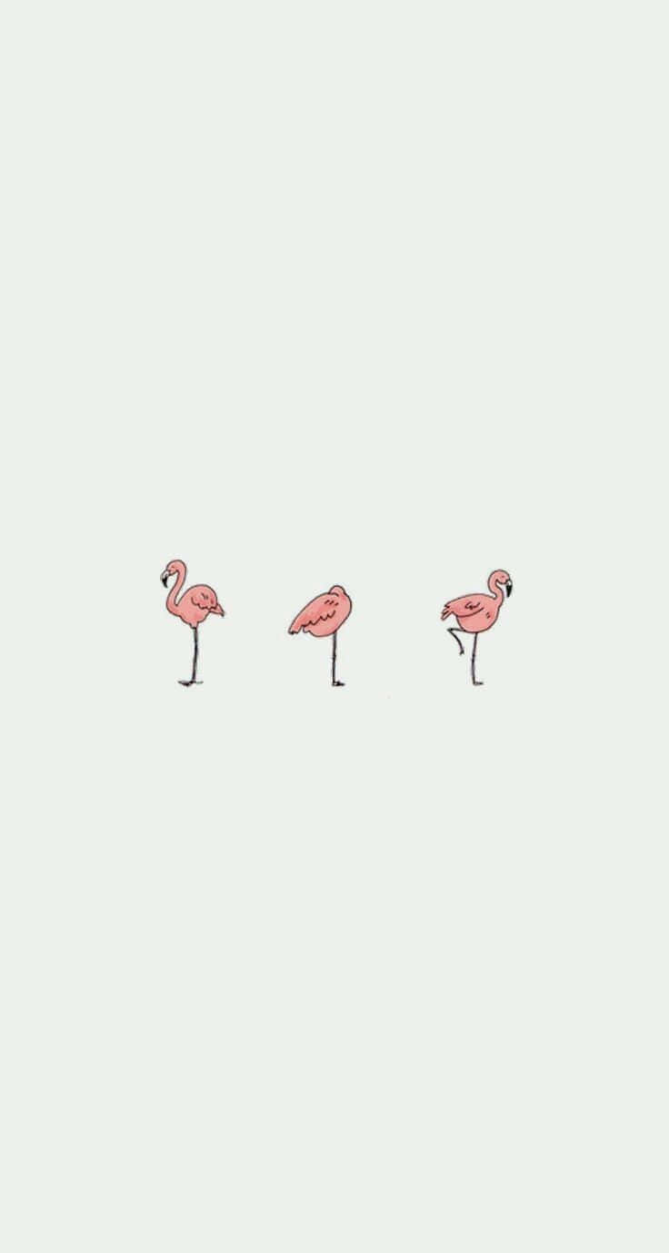 Iphone Simple Cute Flamingos Wallpaper