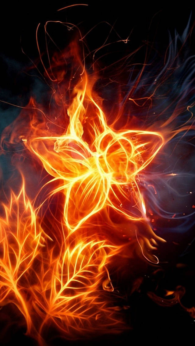 Iphone Star Flower Fire Wallpaper