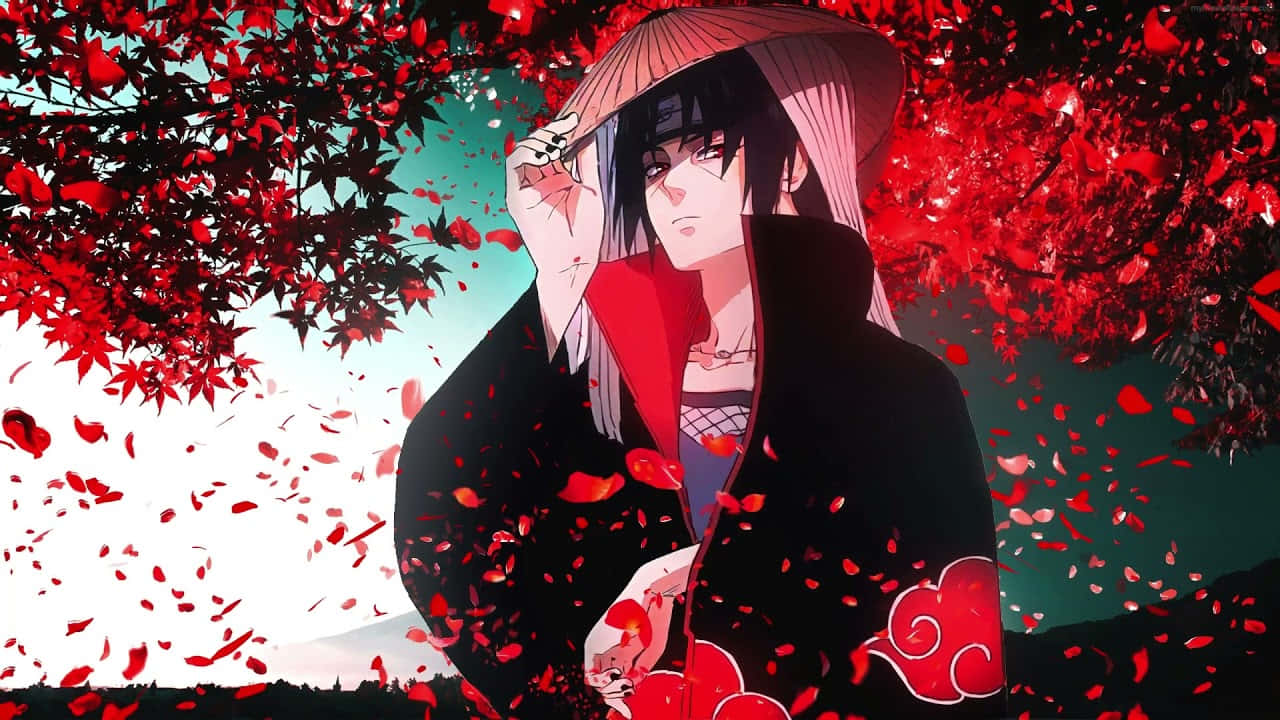 Itachi Live Blossom Tree Wallpaper