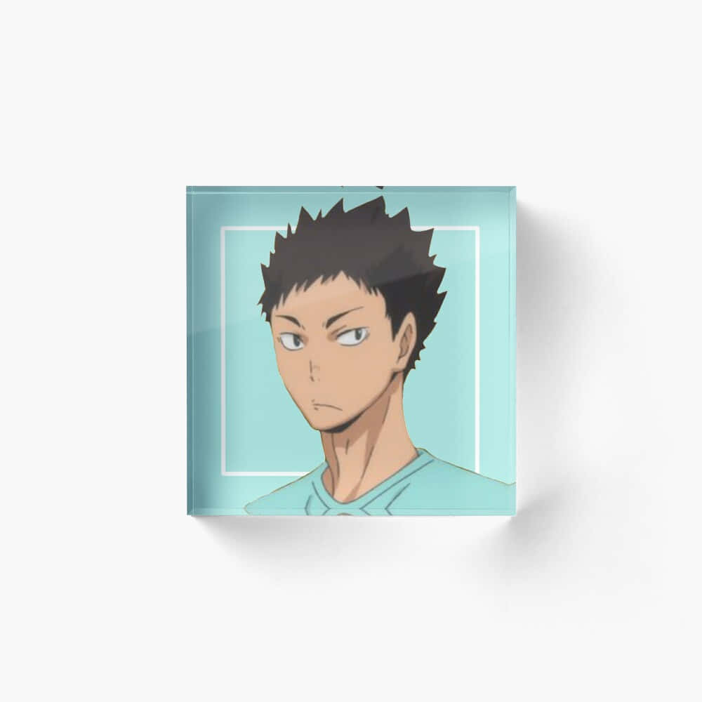 Iwaizumi Hajime Athletic Volleyball Pose Wallpaper