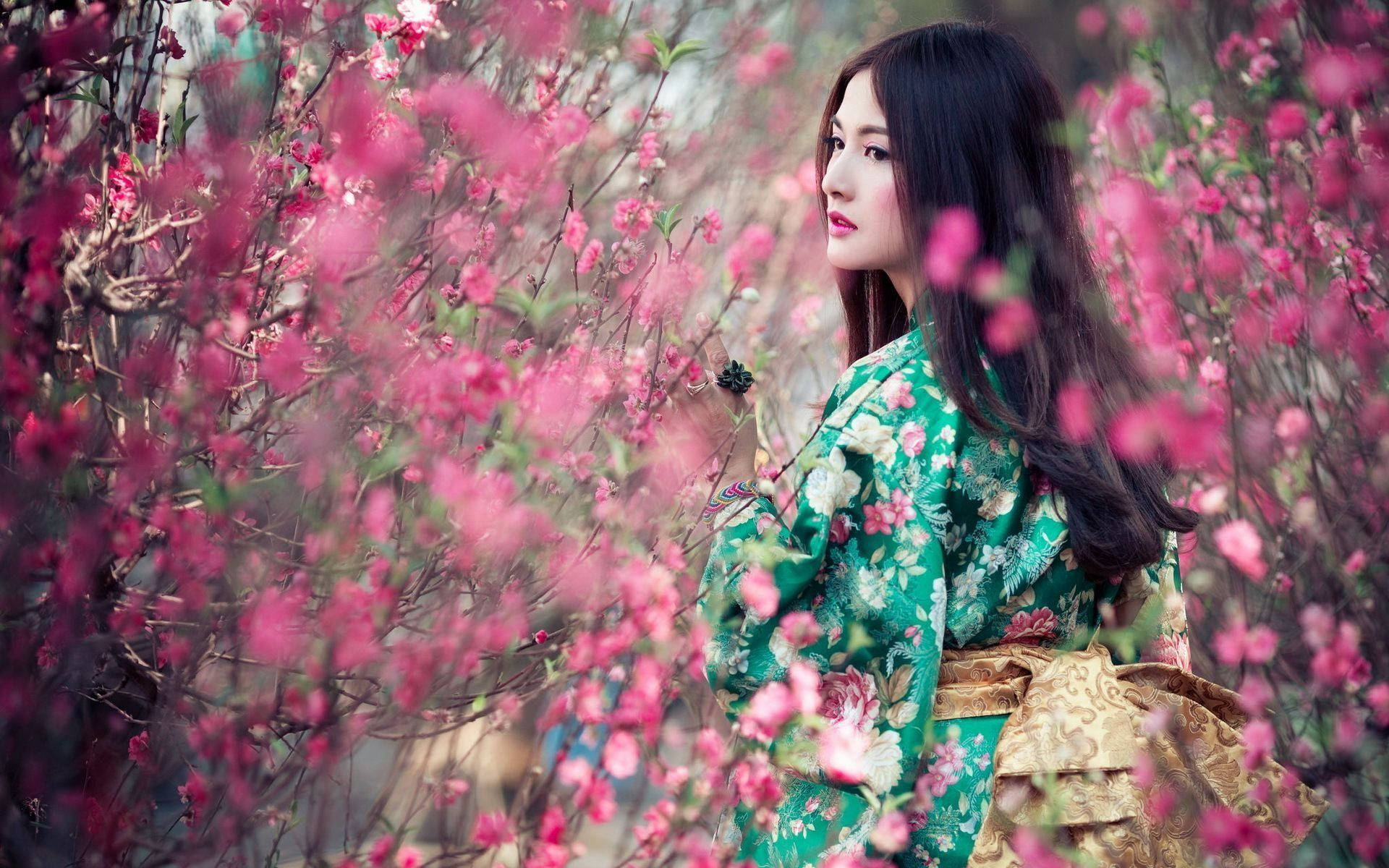 Japan Girl In Pink Flower Field Wallpaper