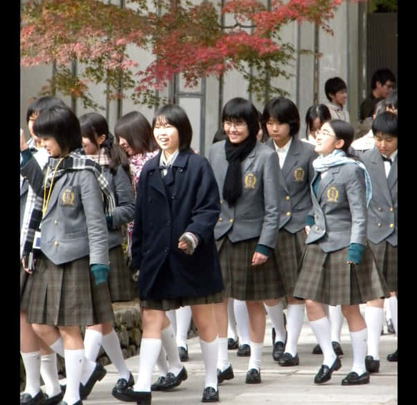 Japanese School Girls Wallpaper