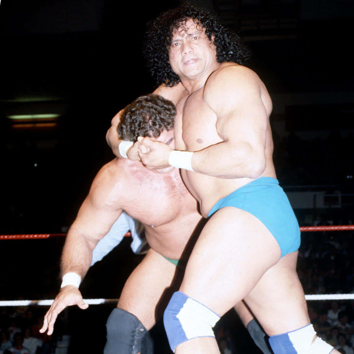Jimmy Snuka And Andre The Great Wallpaper