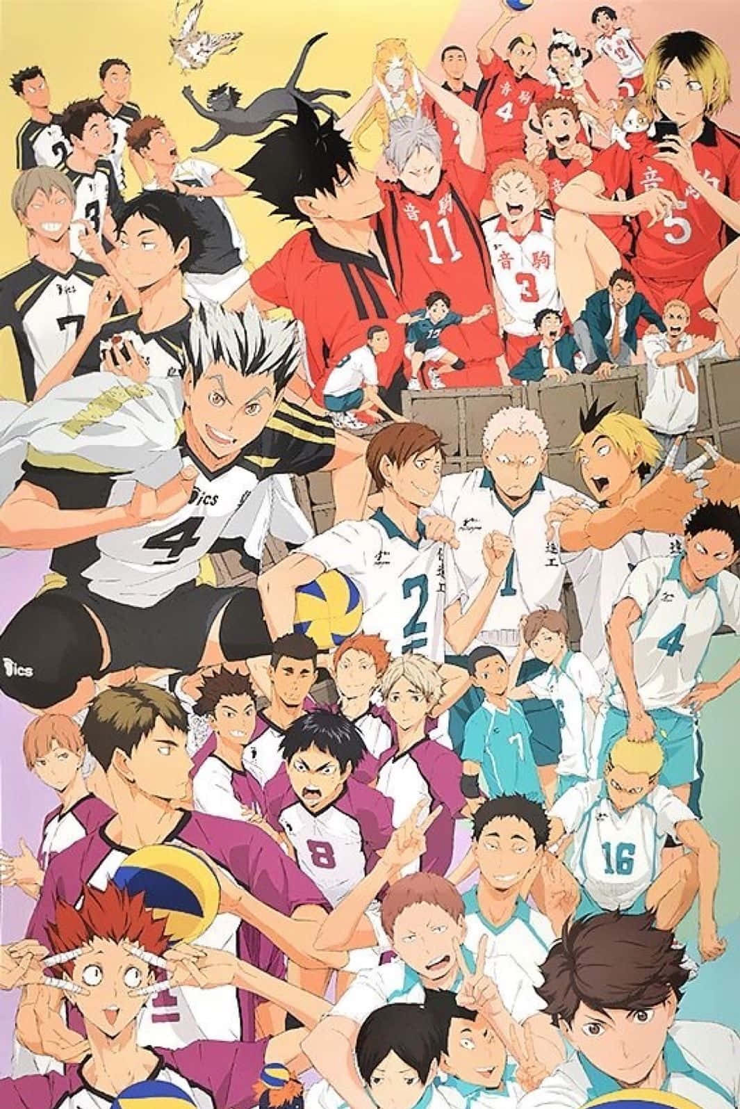 Join The Haikyuu Team With The New Haikyuu Iphone Wallpaper