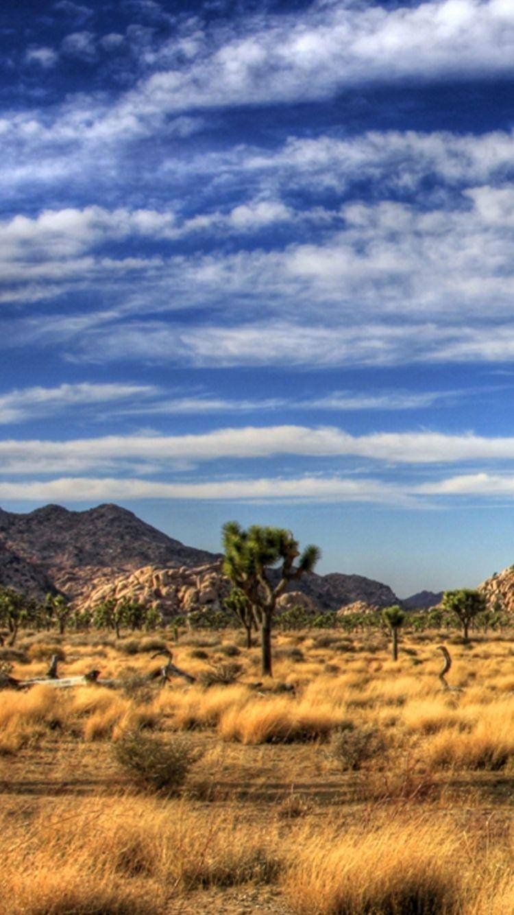 Joshua Tree National Park Long Clouds Wallpaper