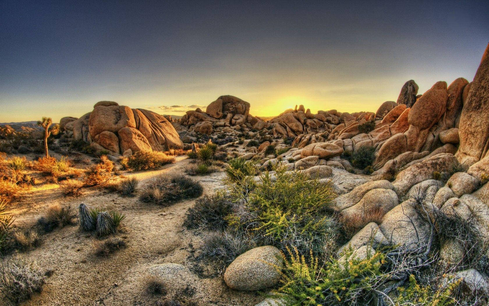 Joshua Tree National Park Many Rocks Wallpaper