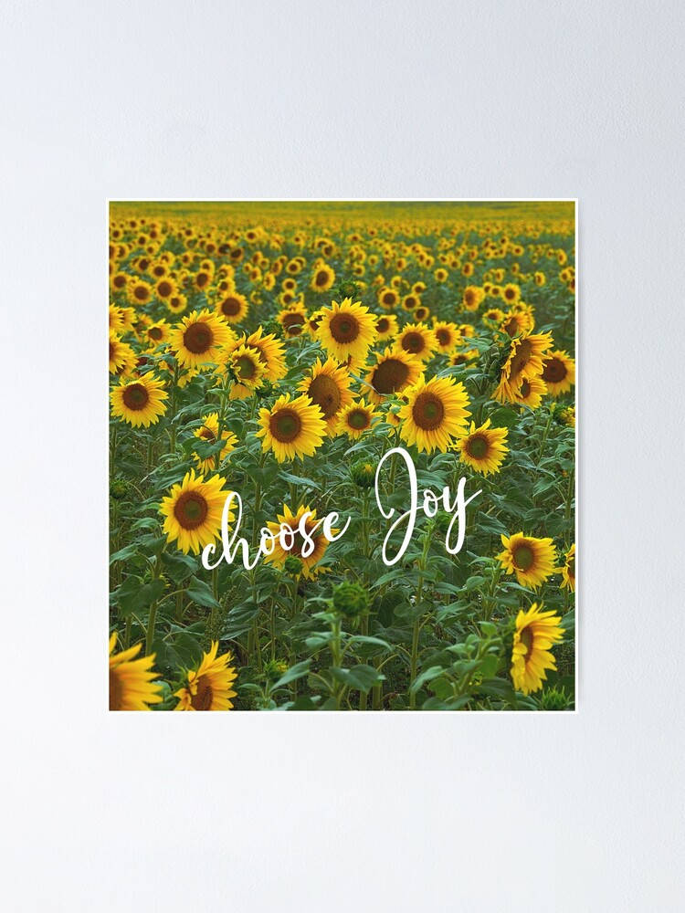 Joy In The Midst Of Sunflower Fields Wallpaper