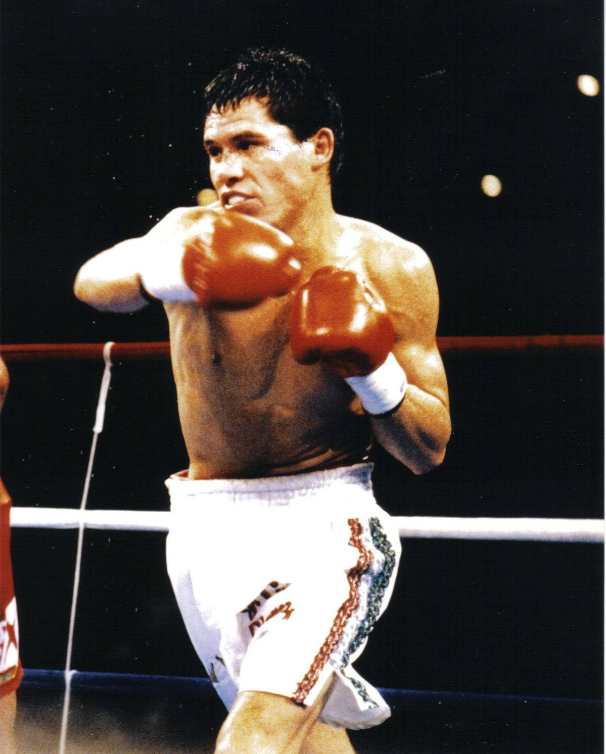 Julio Cesar Chavez Left Hook Wallpaper