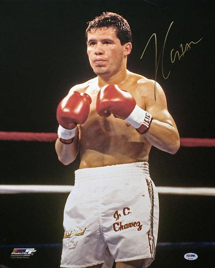 Julio Cesar Chavez Signature Wallpaper