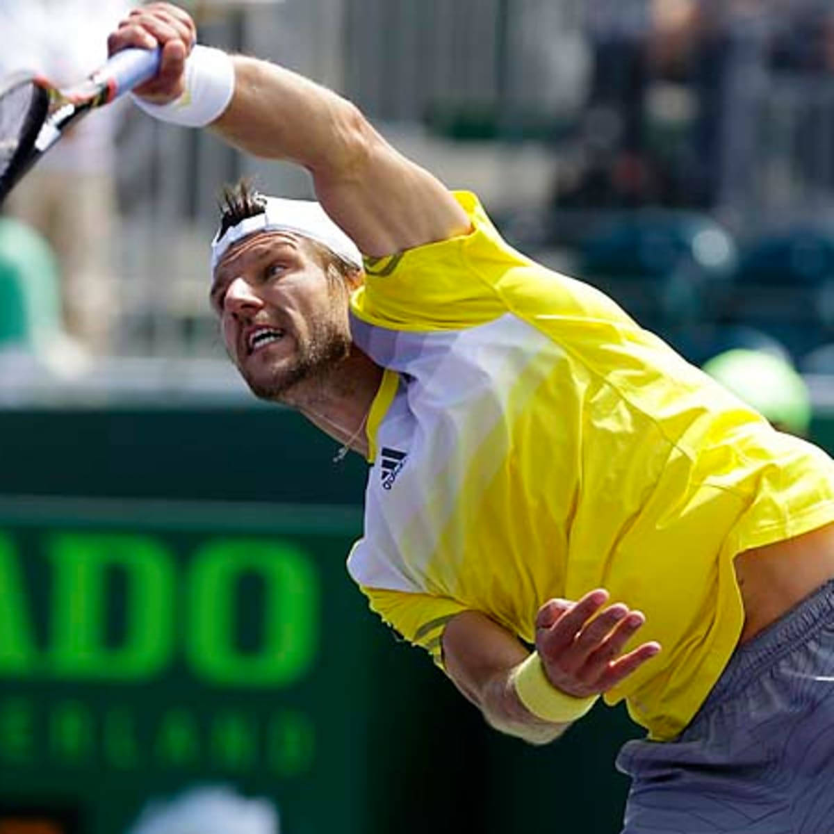 Jurgen Melzer Doing Overhead Smash Wallpaper