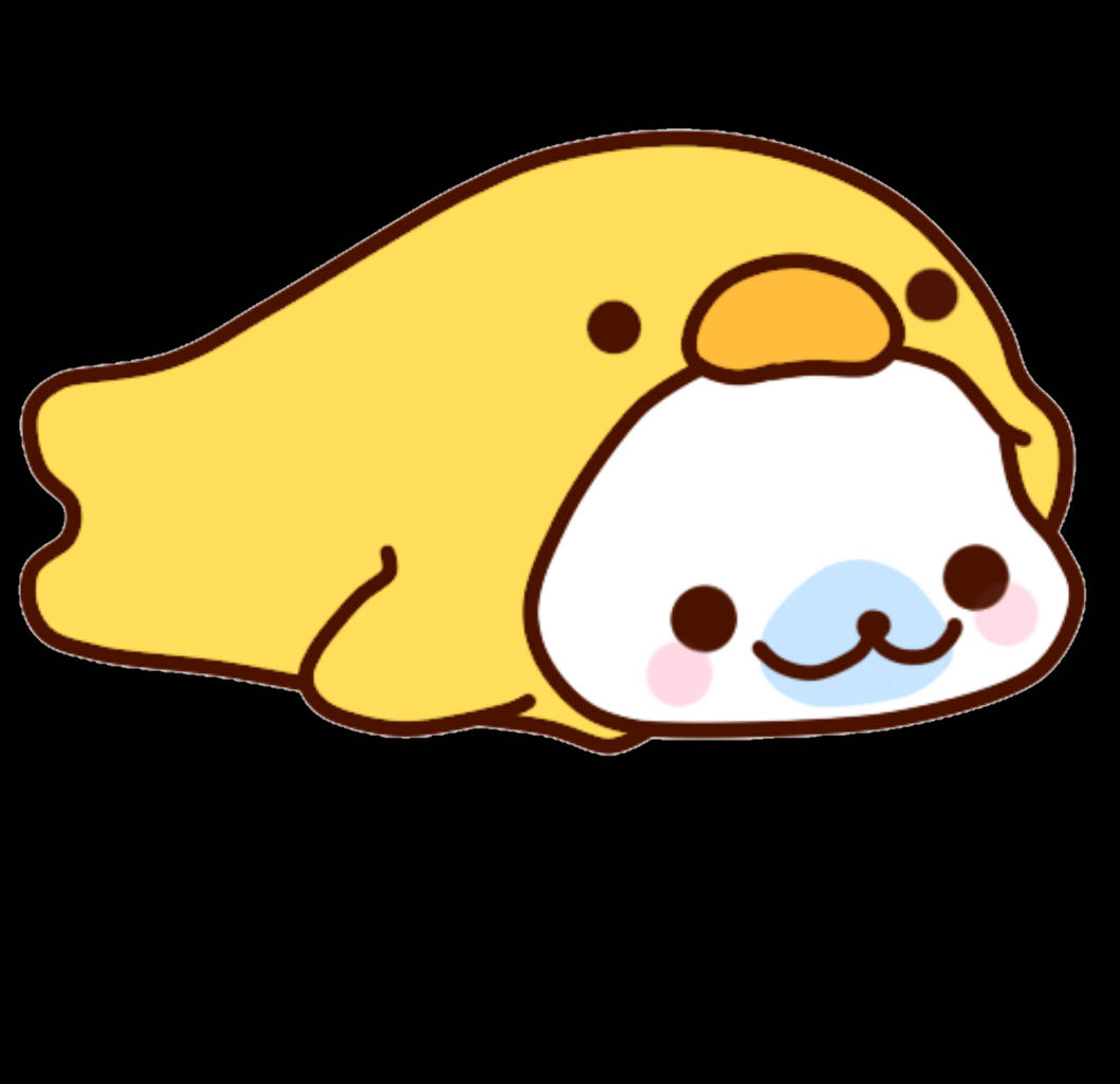 Kawaii Cute Animals White Seal Wallpaper