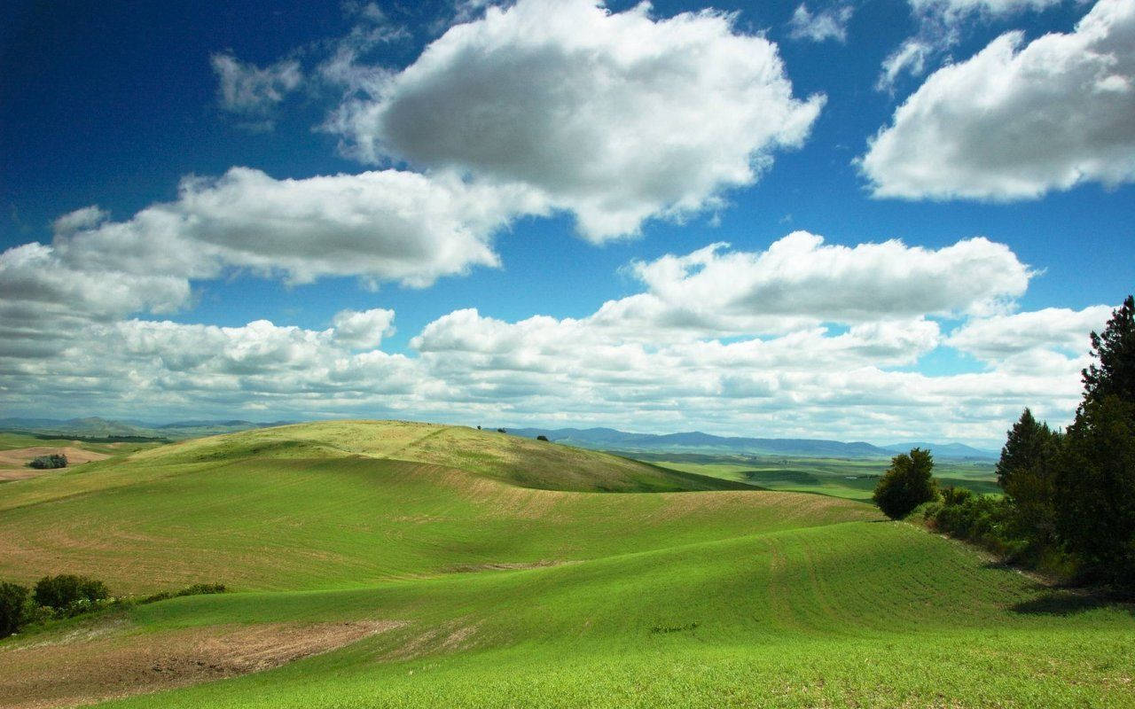 Keep It Fresh With Windows Xp Wallpaper