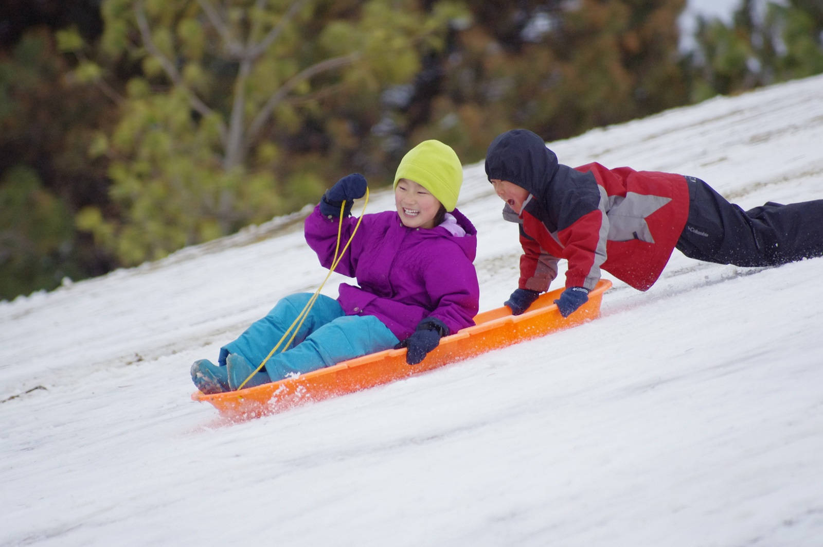 Kids Enjoys Sledding Outdoor Wallpaper