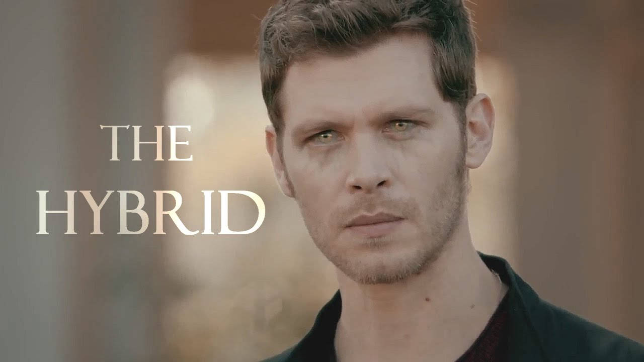 Klaus Mikaelson The Hybrid Wallpaper