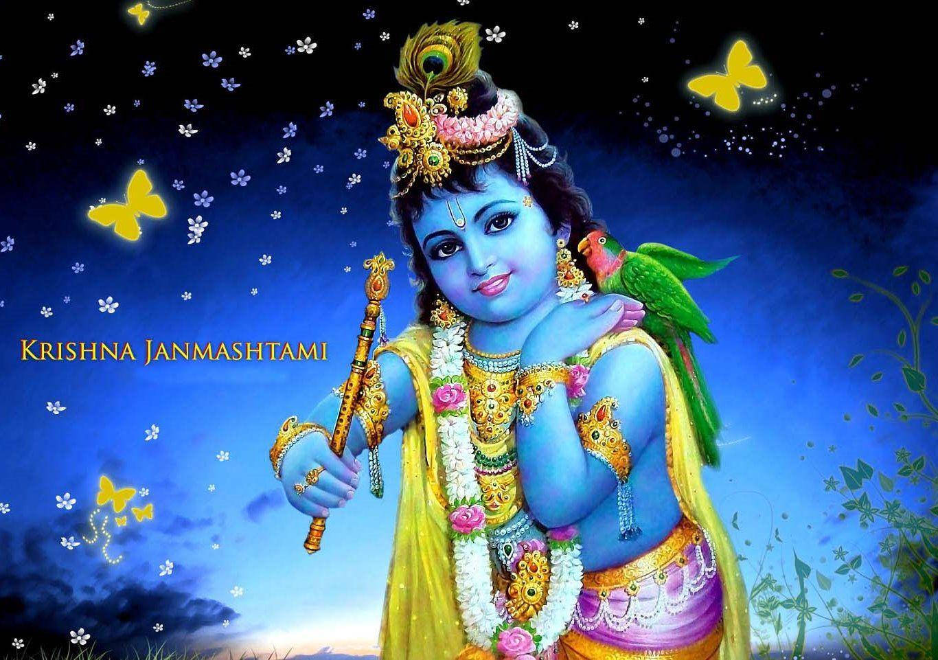 Krishna Bhagwan Wth Butterflies Wallpaper