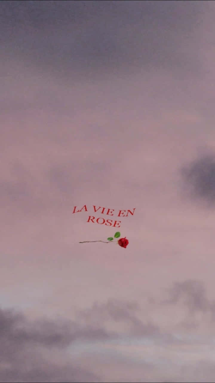 La Vien Red Rose Aesthetic Wallpaper