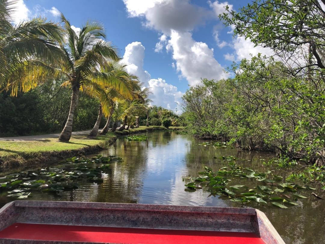 Lake Trees Everglades National Park Wallpaper