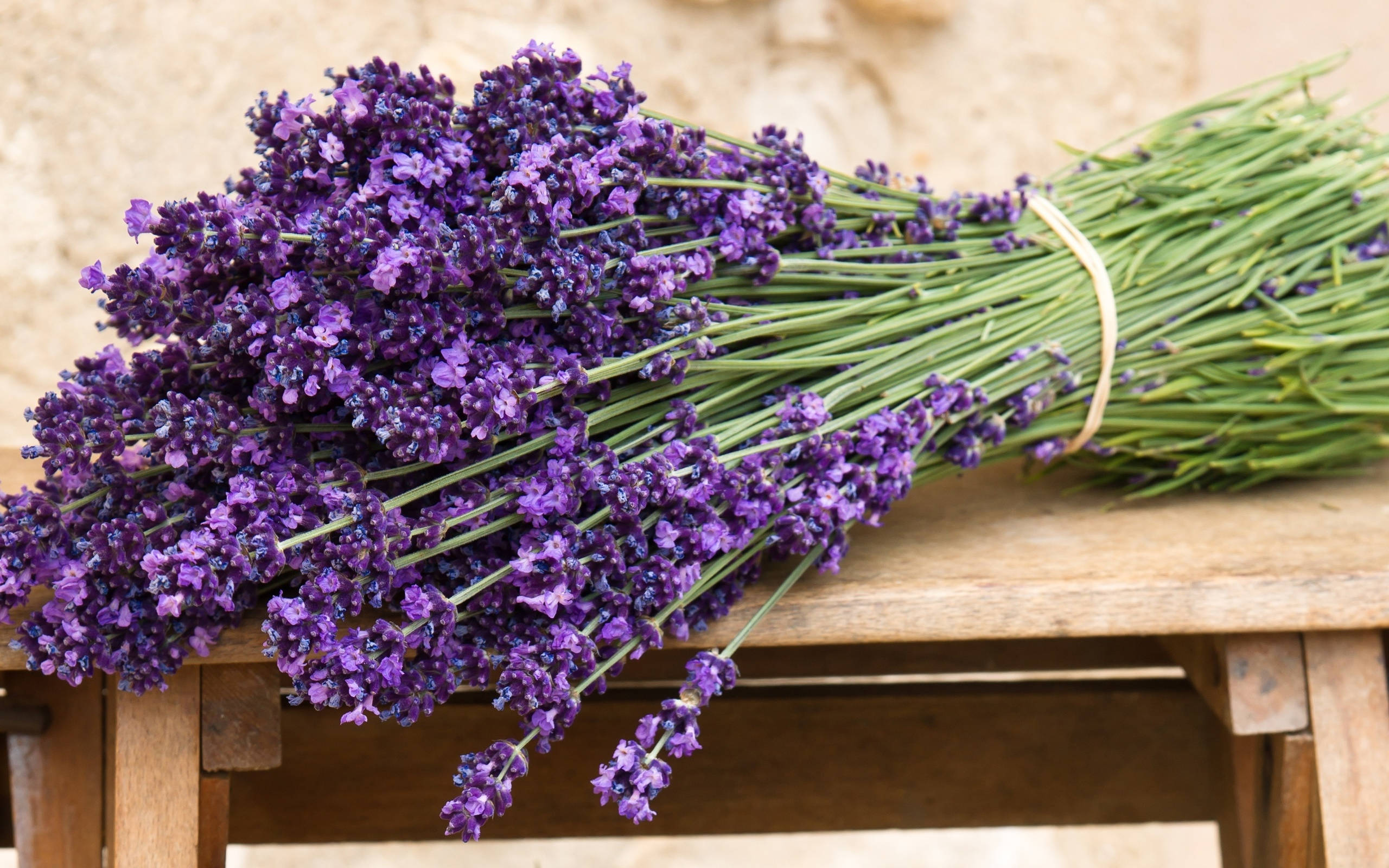 Large Bundle Of Lavender Desktop Wallpaper