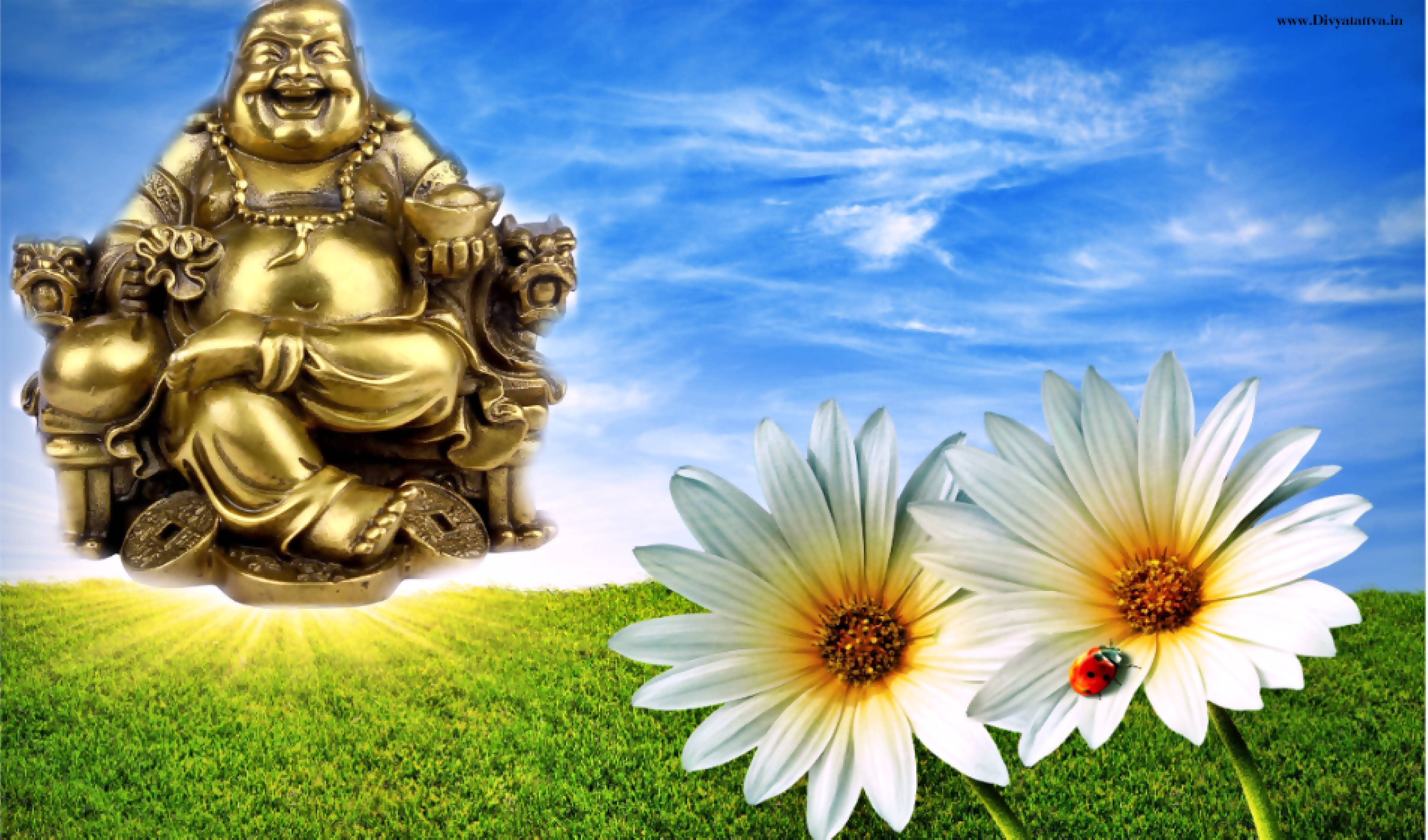 Laughing Buddha And Daisies Wallpaper