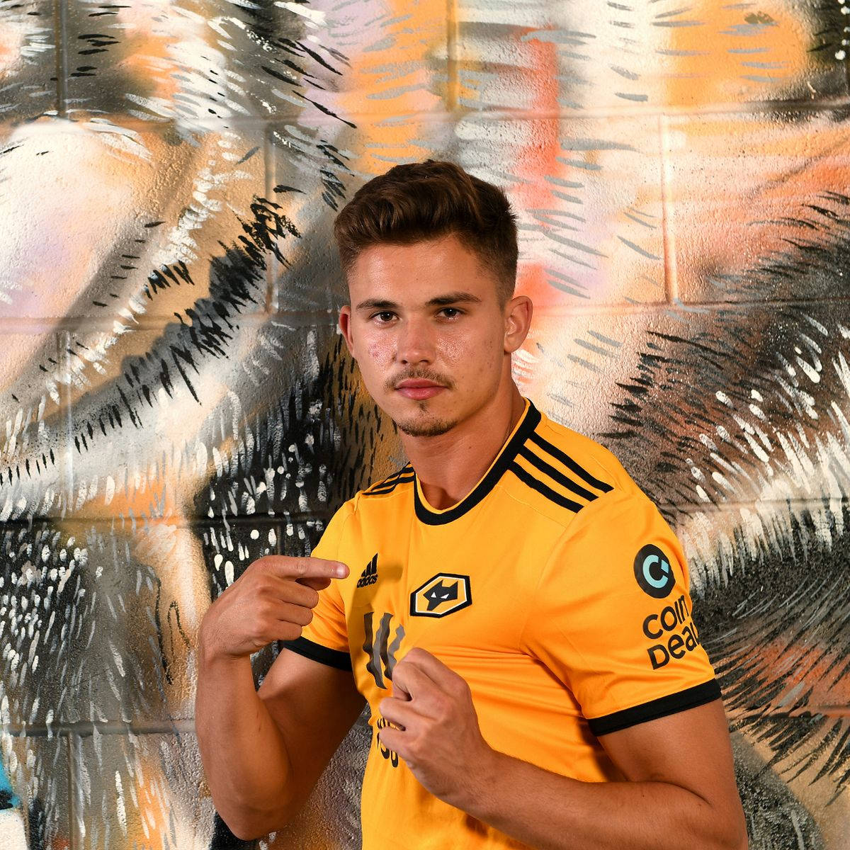 Leander Dendoncker Pose Tiger Wallpaper