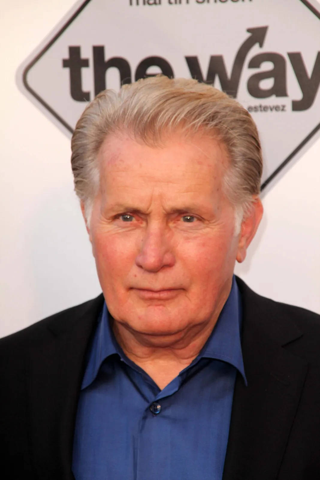 Legendary Actor Martin Sheen At Aarp Film Festival Wallpaper