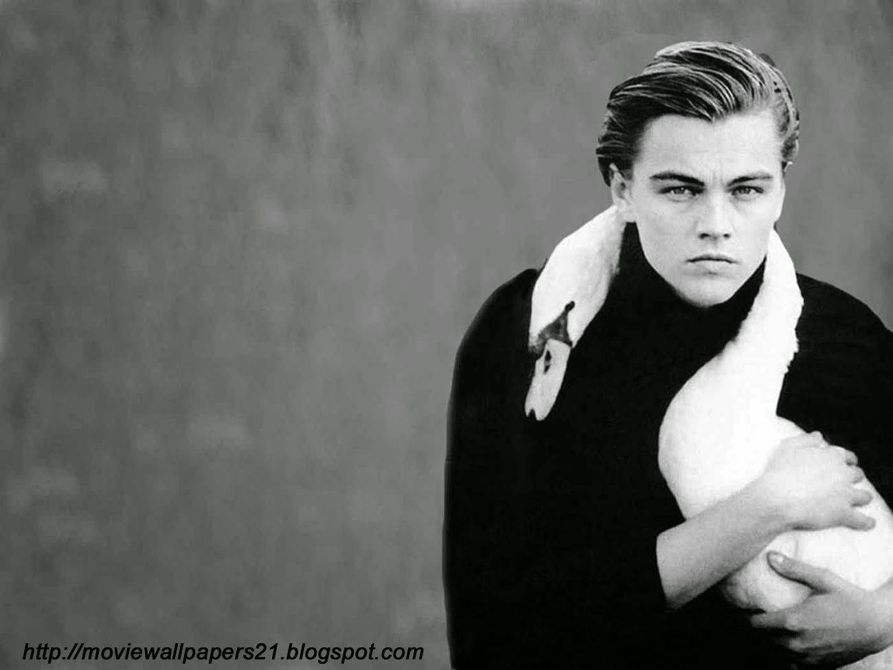 Leonardo Dicaprio Black Swan Wallpaper