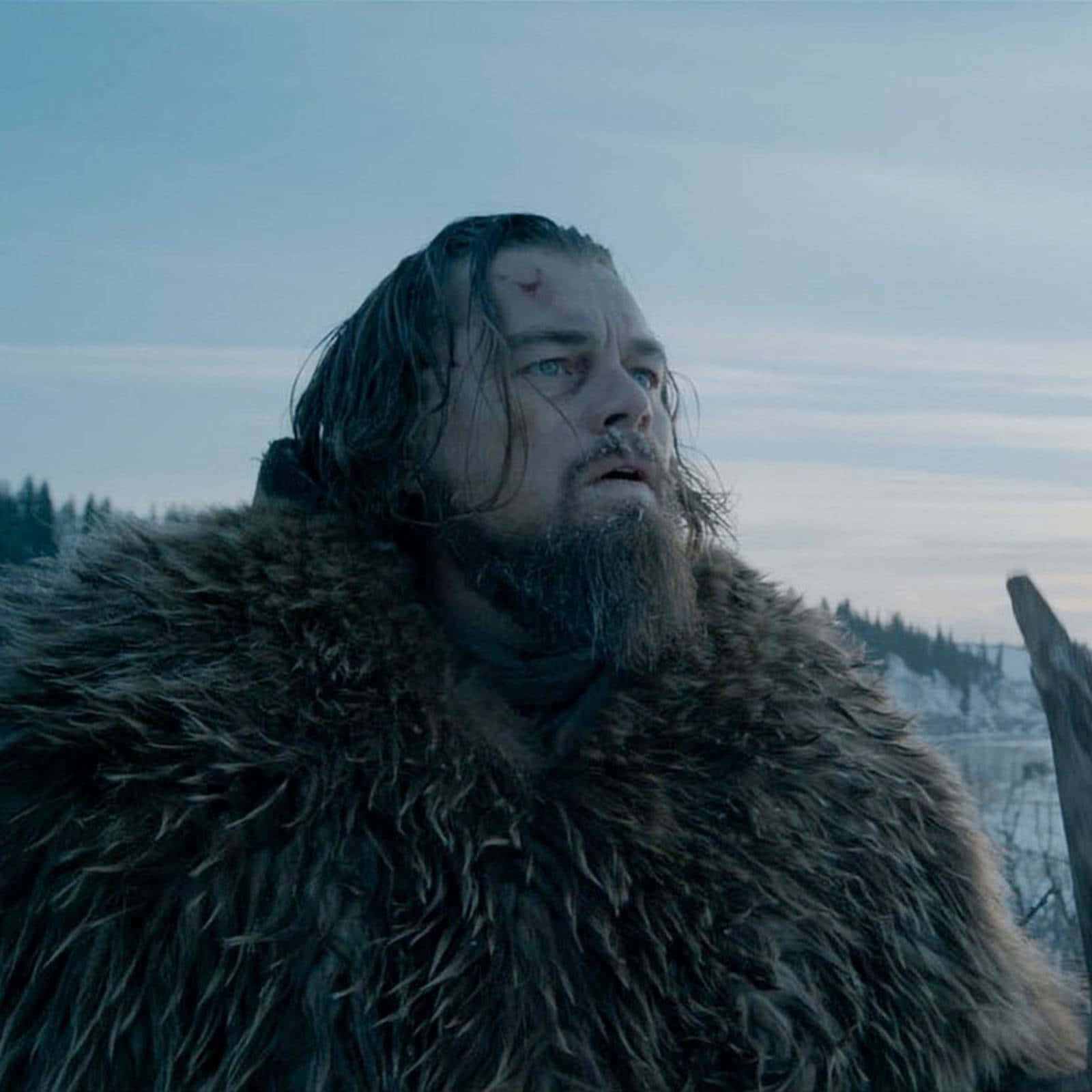 Leonardo Dicaprio In 'the Revenant' Wallpaper