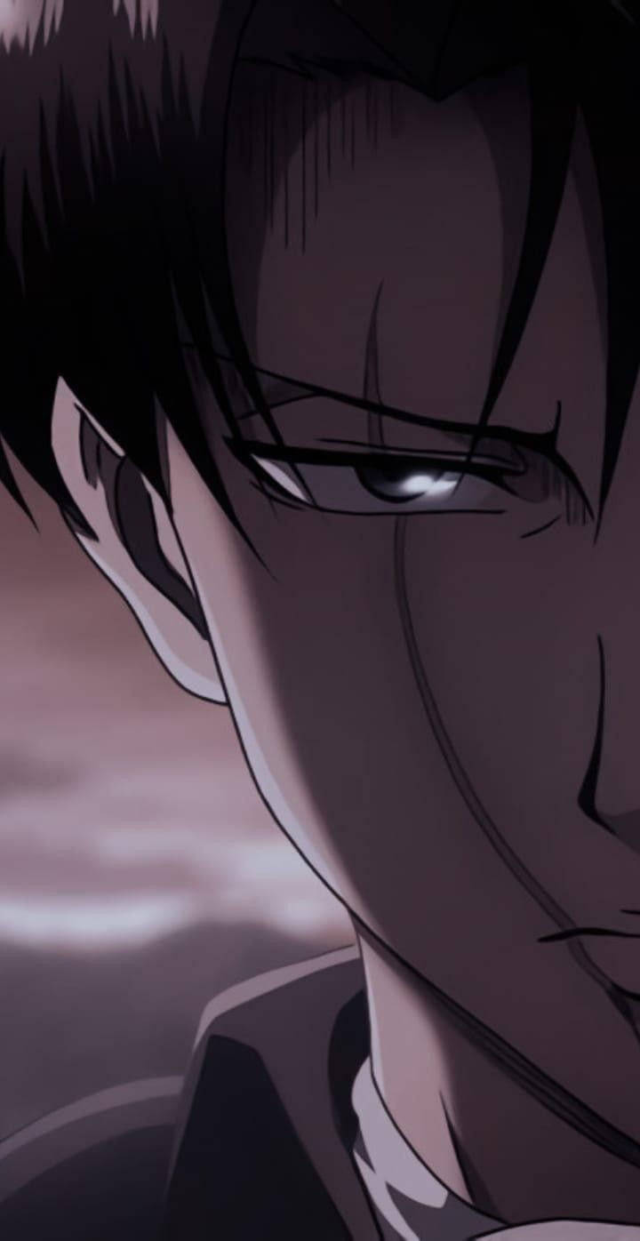 Levi Aesthetic Half Face Portrait Wallpaper