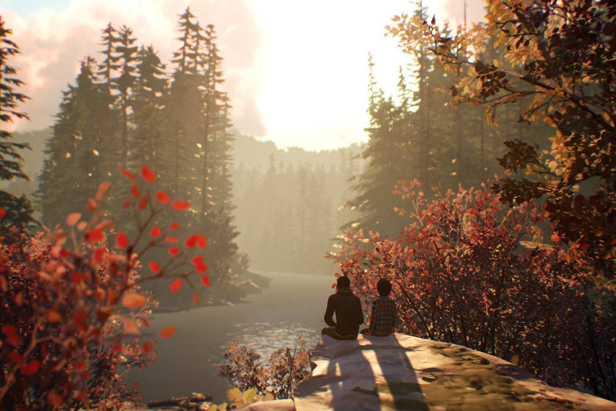 Life Is Strange Looking Nature Wallpaper