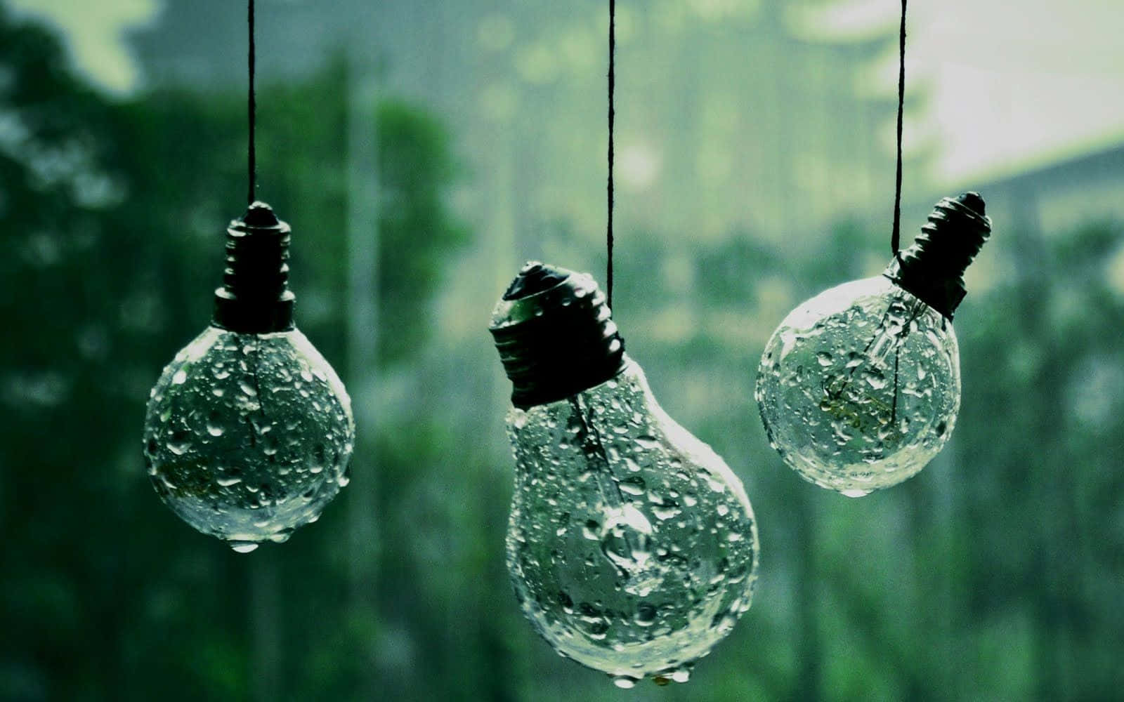 Light Bulbs Olive Greenaesthetic Desktop Wallpaper