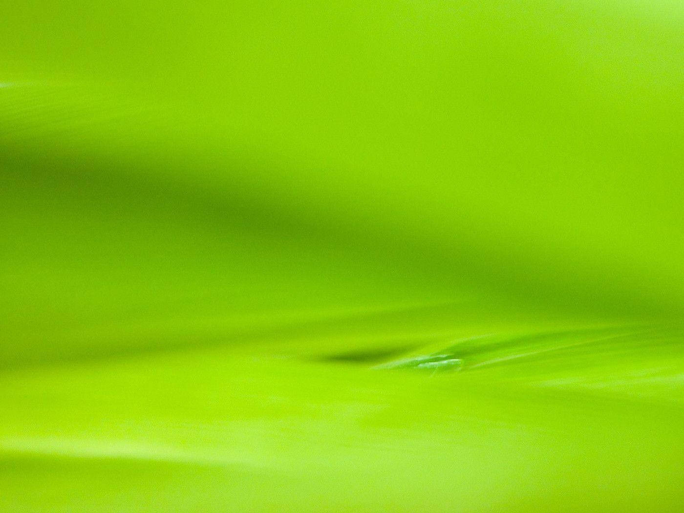 Light Green Surface Wallpaper