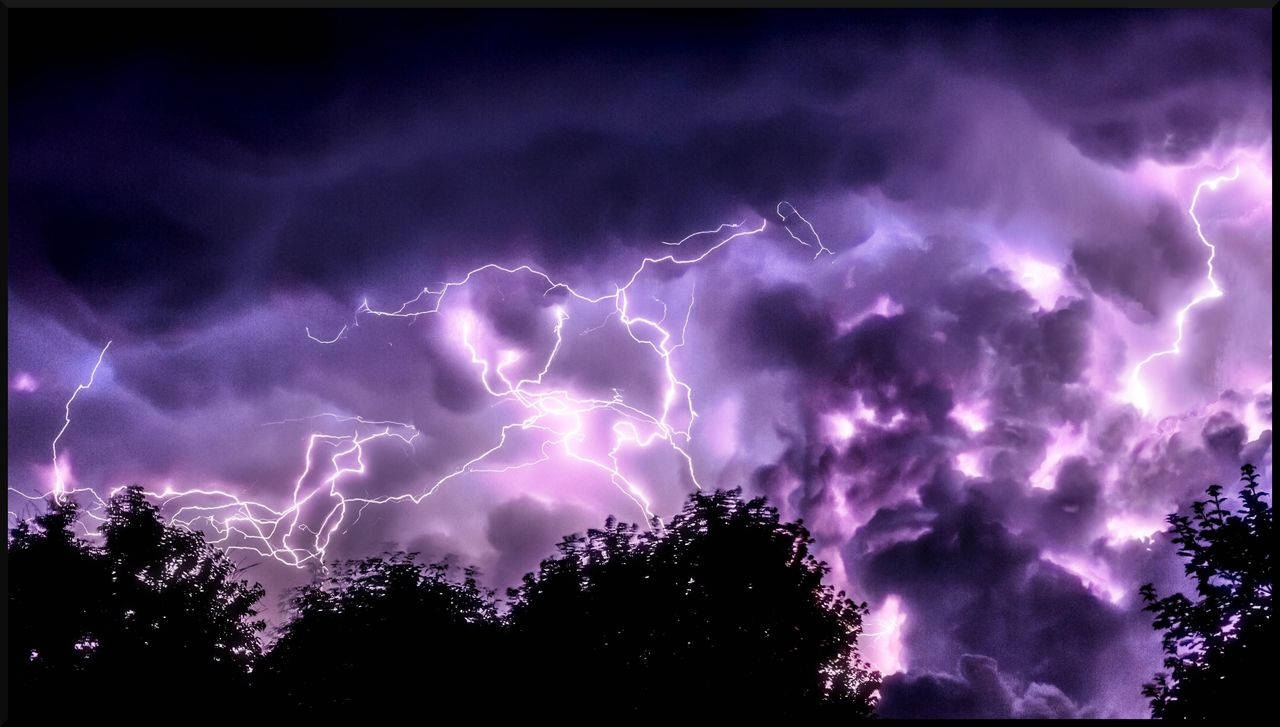 Light Purple Lightning On Forest Wallpaper