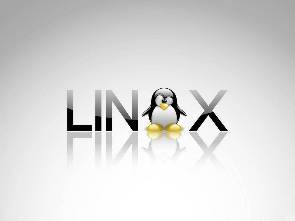 Linux Desktop Design With Penguin Tux Wallpaper