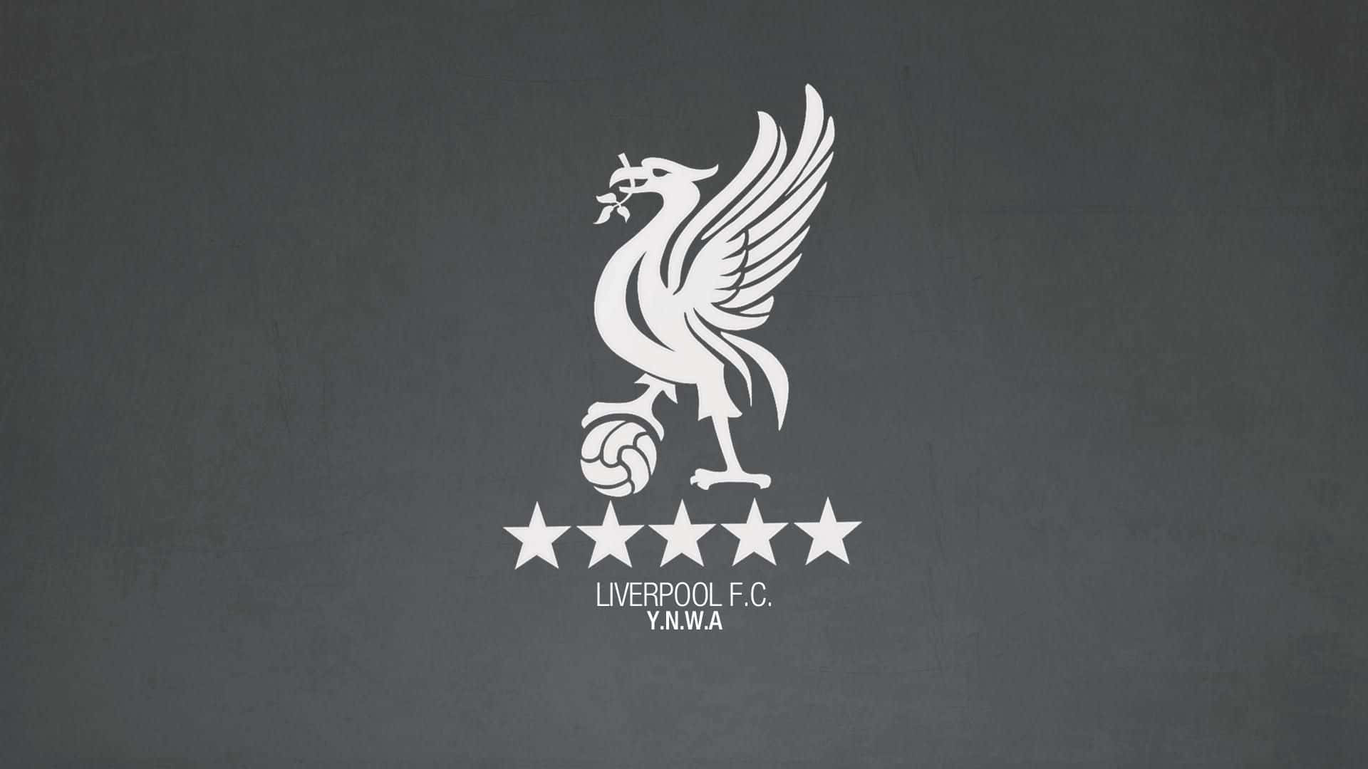 Liverpool Football Club Logo Wallpaper