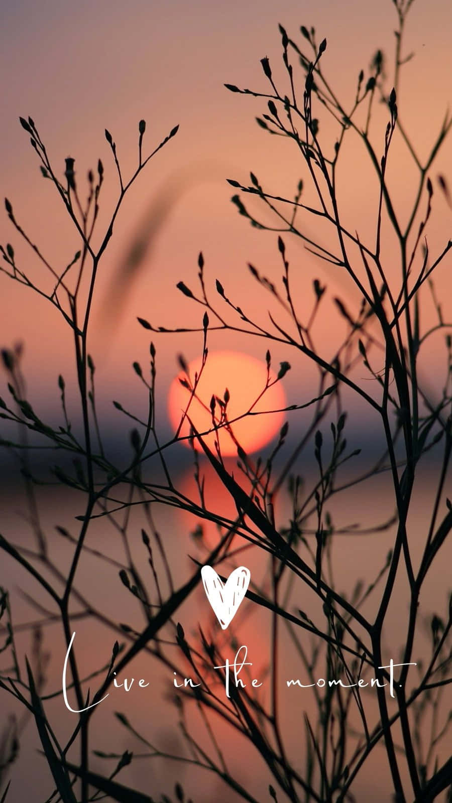 Love In The Moment - Wallpaper Wallpaper