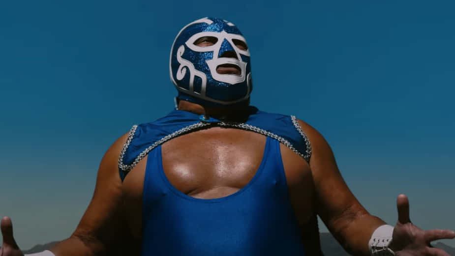 Luchadorin Blue Mask Wallpaper