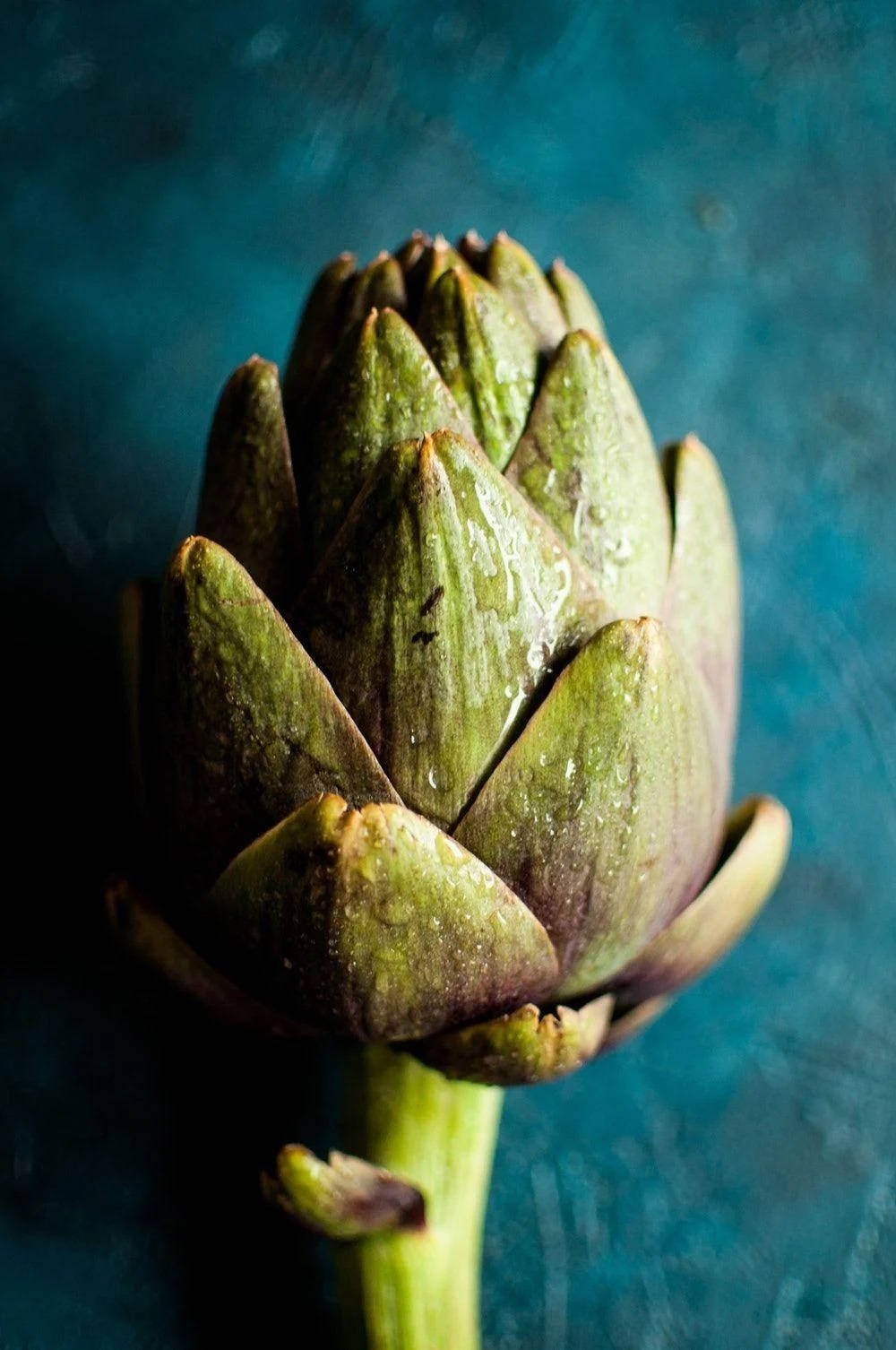 Lush Green Artichoke In Low Light Wallpaper