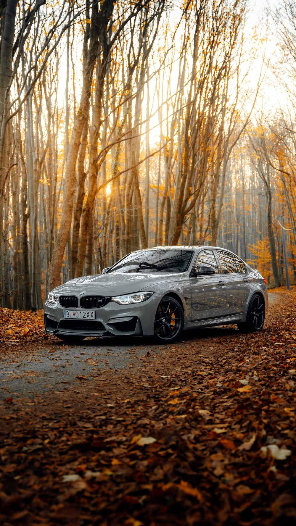 Luxury Bmw Model Wallpaper