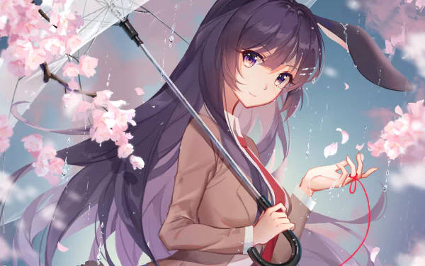 Mai Sakurajima Under Cherry Blossoms Wallpaper