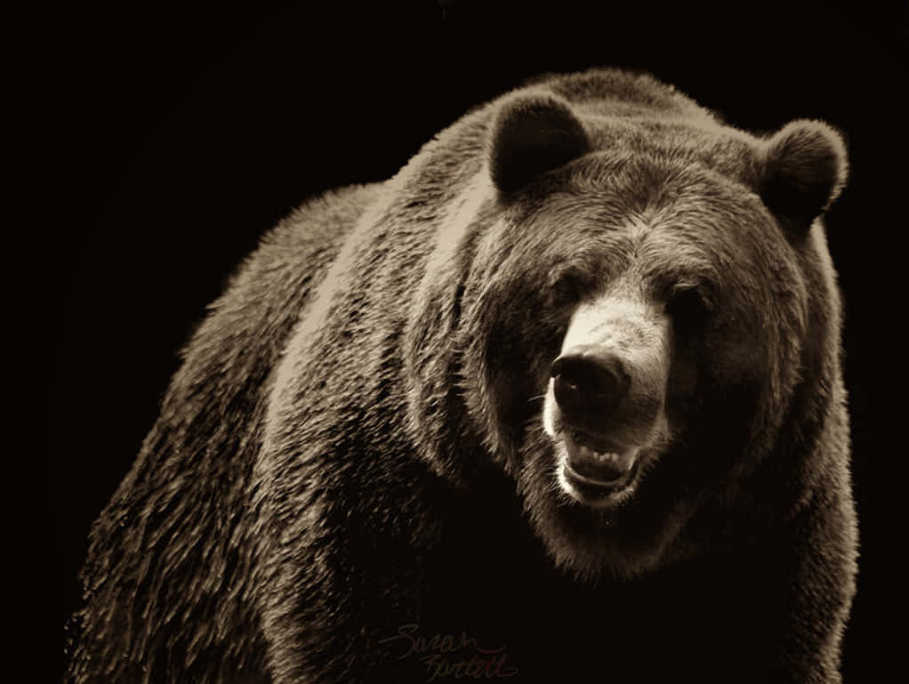 Majestic_ Grizzly_ Bear_ Portrait Wallpaper