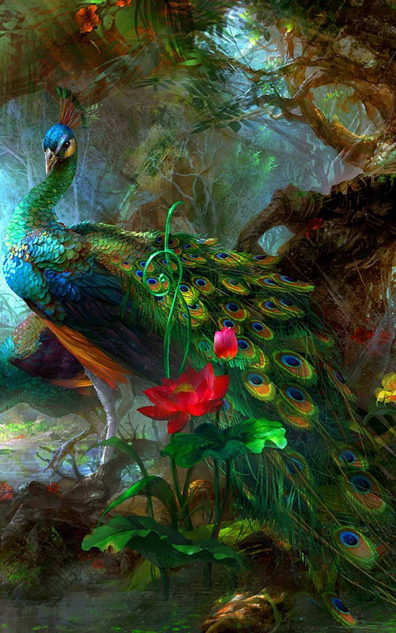 Majestic Peacock In Vibrant Colors Wallpaper