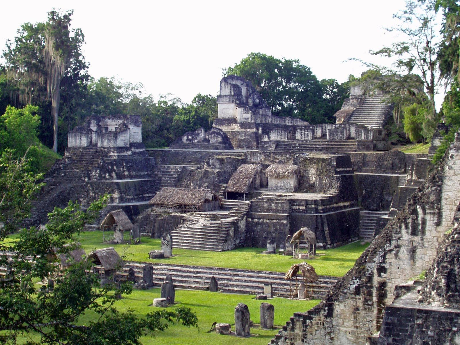 Majestic Tikal: A Panoramic View Of Mayan Ruins Wallpaper