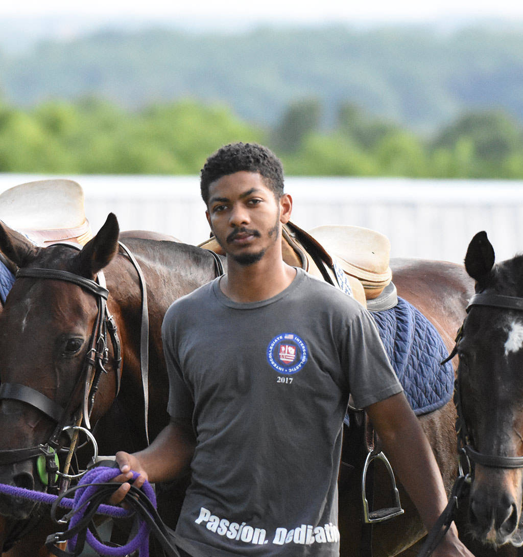 Male Equestrian Horse Trainer Medium Angle Wallpaper