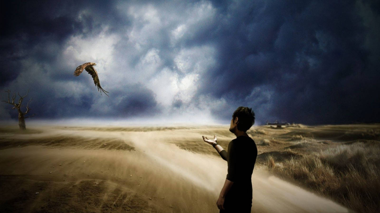 Man And Flying Bird Mystery Digital Art Wallpaper