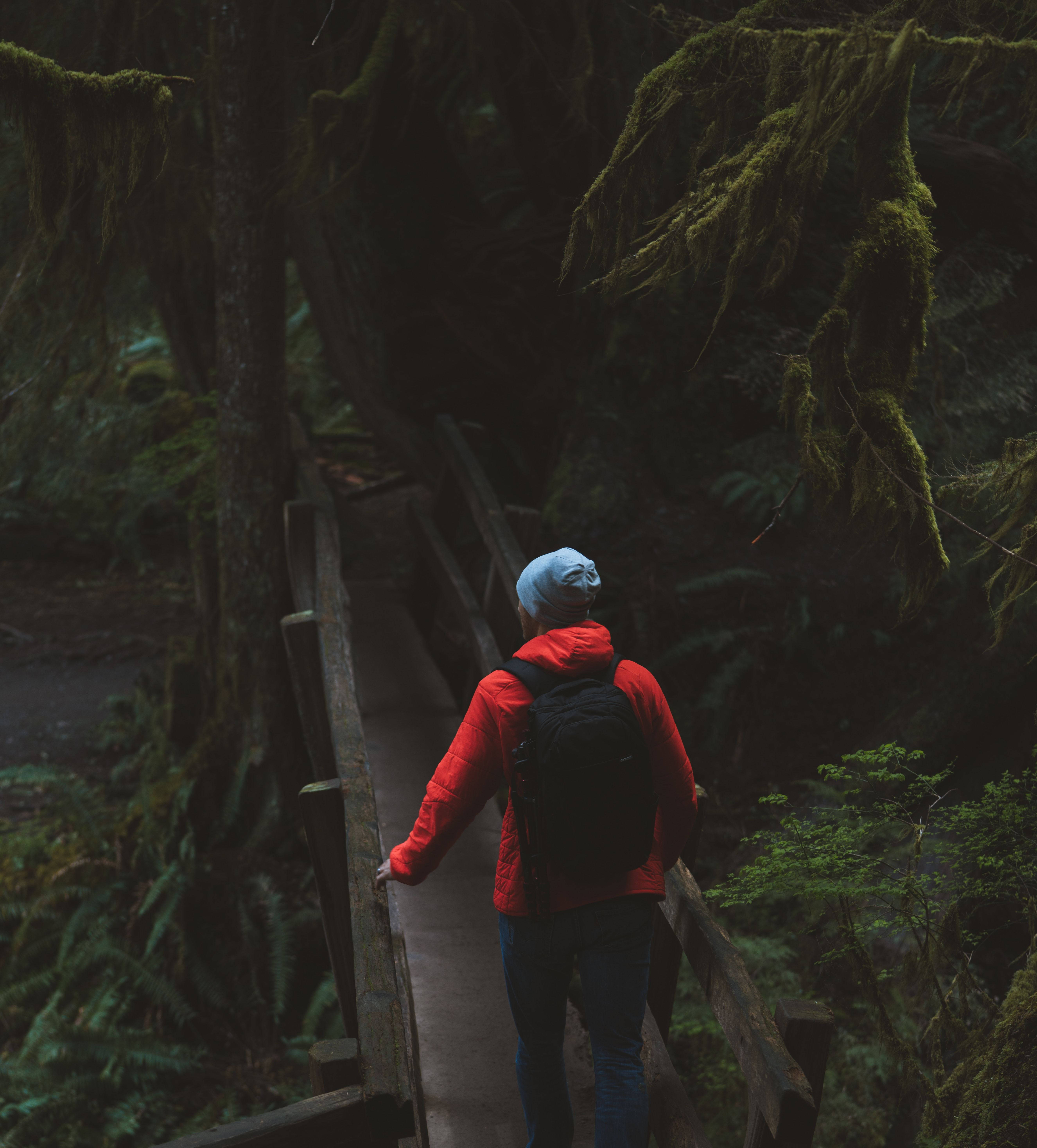 Man In Forest Alone Phone Background Wallpaper